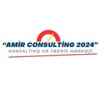 Amir Consulting 2024