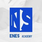 ENES academy